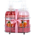 Pink Grapefruit Hand Cleanser and Hand Lotion